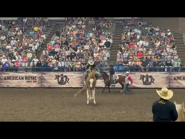 Missouri Rodeo