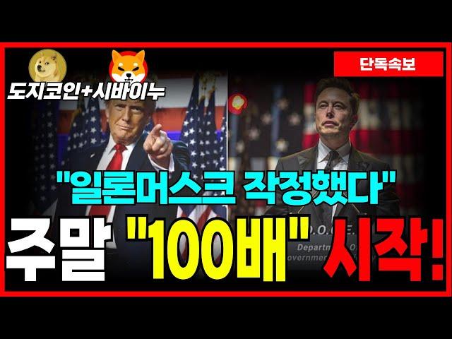 [도지코인+시바이누] 일론머스크 작정했다! '도지코인' 직접 언급! "100배" 상승 간다!