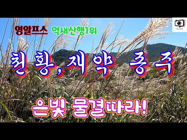 억새 산행1위 영남알프스/ 가을 억새 명품 가보고 싶은 산 산림청 지정 100대명산