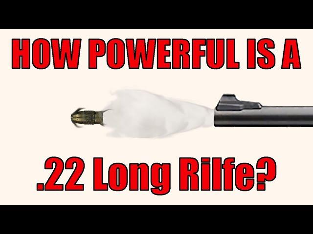 How powerful is the .22lr?