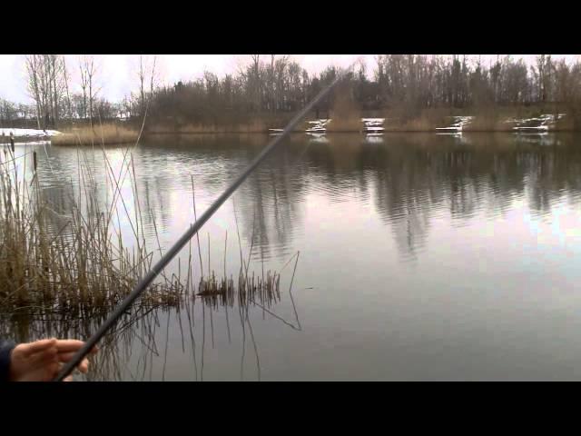 Carp Coaching in the Snow