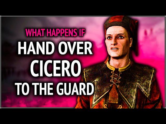 Skyrim ٠ What Happens If you Hand Over Cicero to the Guard in Quest "Delayed Burial"