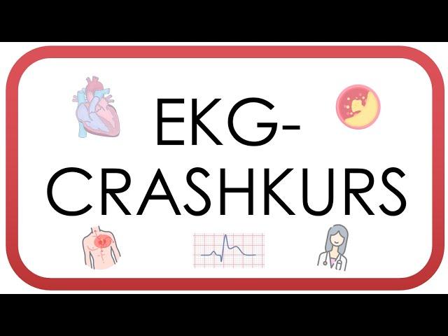 EKG Crashkurs - Auswerten in unter 10 Minuten (AV-Block, Vorhofflimmern, STEMI, Perikarditis)