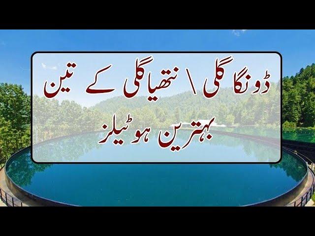 Hotels In Donga Gali. Nathia gali ky hotels