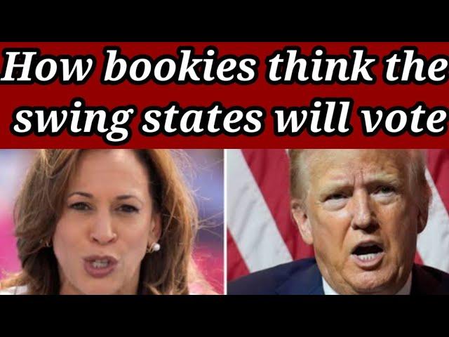 How Much bets In United States Elections Today| Bookies On Donald Trump And Kamala Harris| Elections