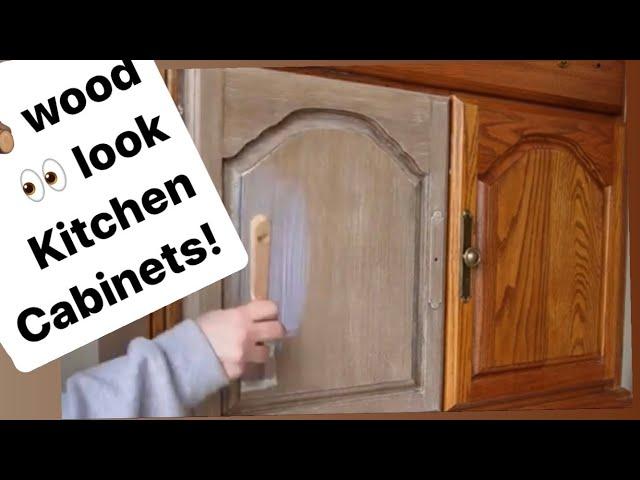 UPDATE KITCHEN CABINETS - No sanding!