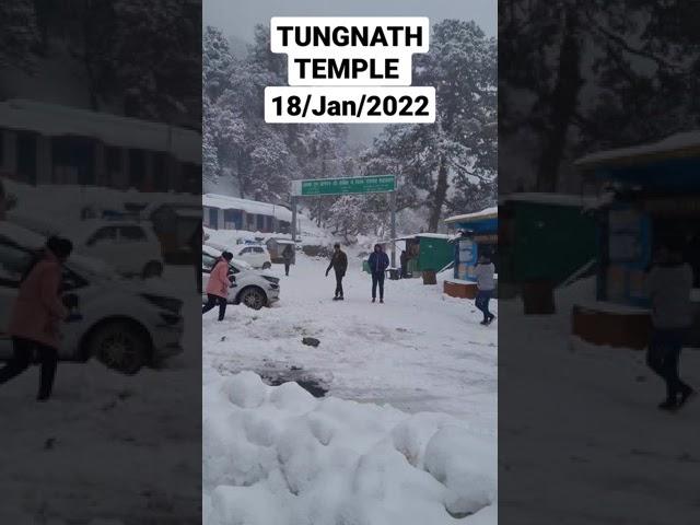 Tungnath Temple latest video 18 January #tungnath #chopta #uttarakhand #snowfall #shorts