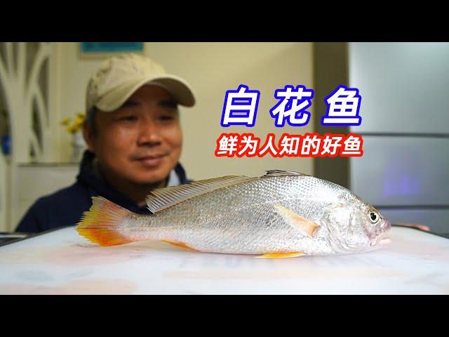 名贵海鲜，真的比平民海鲜好吃很多吗？白花鱼对比大黄鱼