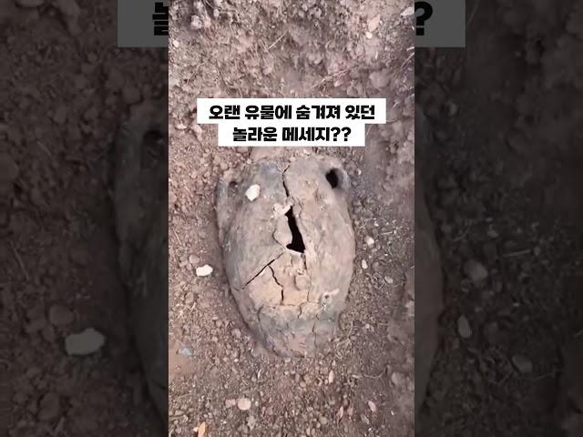 와 저런 게 있다고???? 눈을 의심함