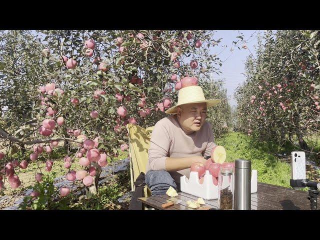 Lao daughter-in-law followed her Chinese husband to sell apples in the field  and finally got to he