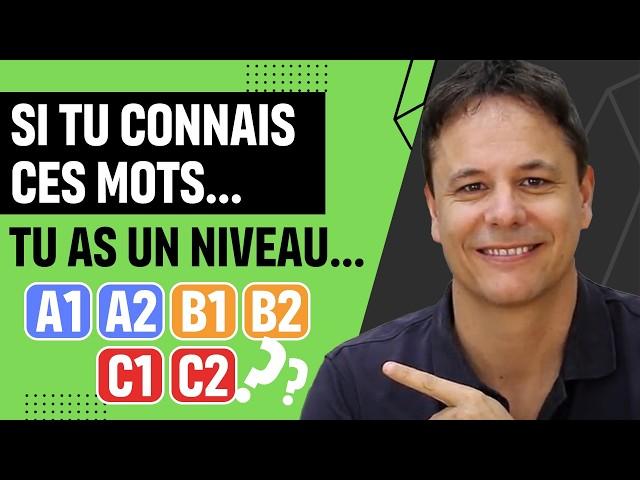 Si tu Connais ces Mots tu as un Niveau A1, A2, B1, B2, C1, C2 (COMPILATION)