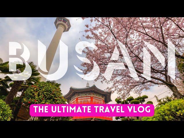 The Only Busan Travel Guide You'll Ever Need: 50 Unforgettable Experiences