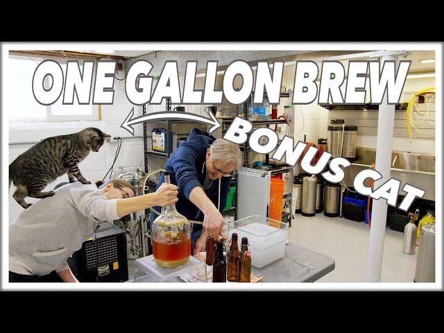  1 Gallon Of Beer -  Your First HomeBrew Recipe @BrewHouse Glen & Friends