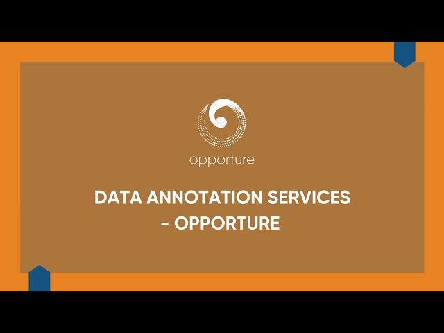 Data annotation services - Opporture