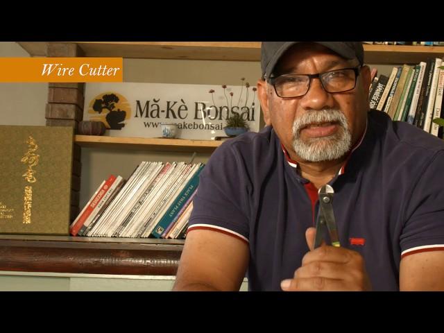 Bonsai Tools - Bonsai Repotting Tools - Bonsai Trees for Beginners Series #177