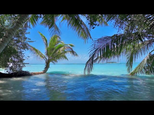  Ocean Ambience on a Tropical Island (Maldives) with Soothing Waves & Paradise View for Relaxation.