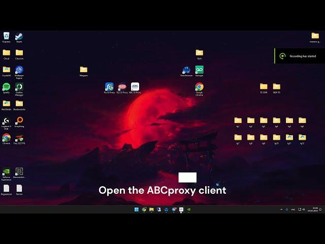 Tutorial of ABC S5 Proxy at OctoBrowser / How to use ABC S5 Proxy