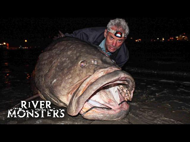 Jeremy Wade catches a HUGE 250lbs+ Queensland GROUPER by accident | River Monsters