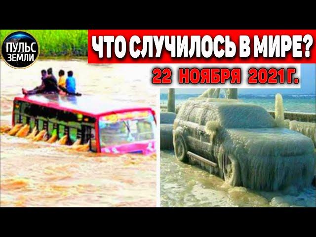Катаклизмы за день 22 НОЯБРЯ 2021! Пульс Земли! в мире событие дня #flooding​ #ураган​ #наводнение