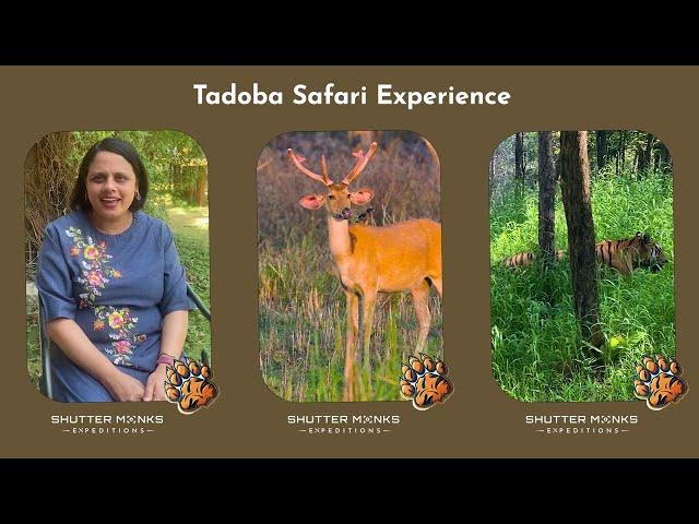 What It's Like to Go on a Tadoba Safari with Shutter Monks Expeditions