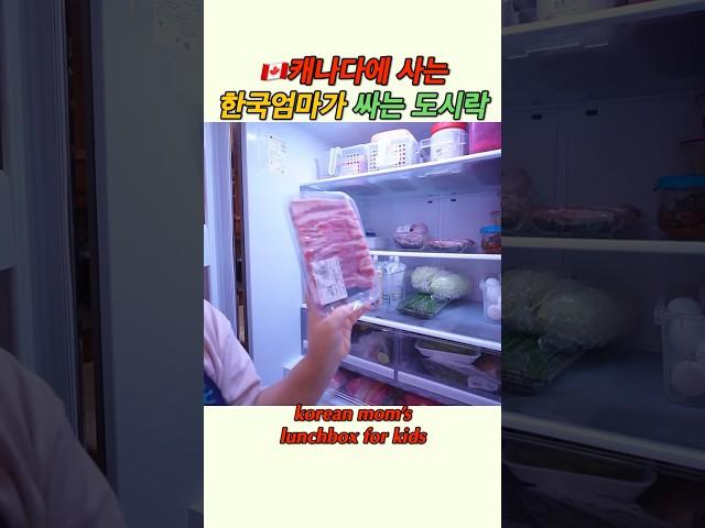 외국에 사는 한국엄마가 싸는 한식 도시락 #도시락 #캐나다일상 #koreanfood #lunchbox