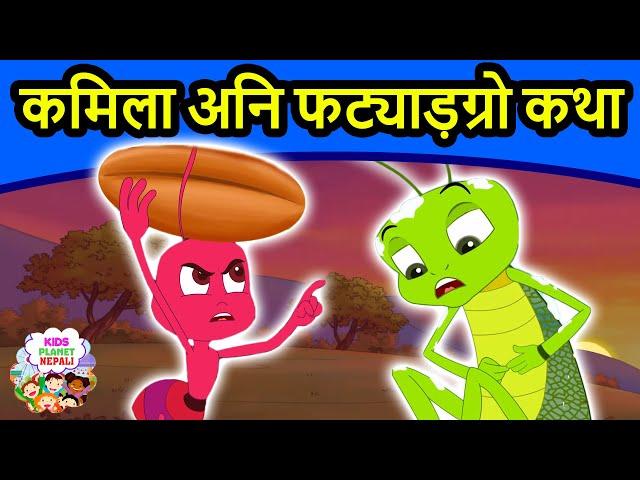 कमिला अनि फट्याड़ग्रो कथा Ant & Grasshopper - Story In Nepali | Nepali Fairy Tales | Nepali Cartoons