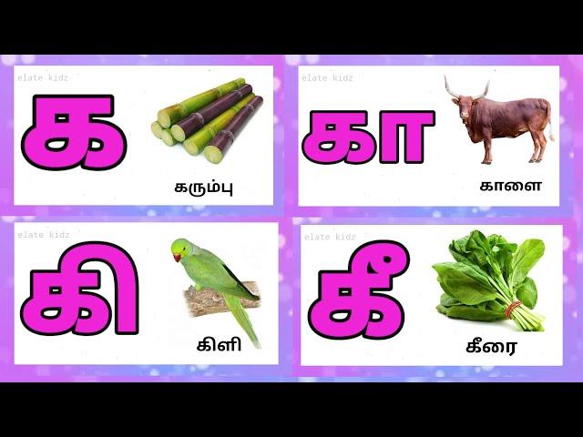 க கா கி கீ / ka kaa ki kee / Learn uyir mei eluthukkal for kids @Elatekidz-ql1yk