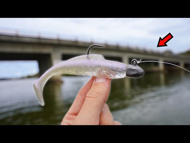 Fishing a Bridge for GIANT Fish!!