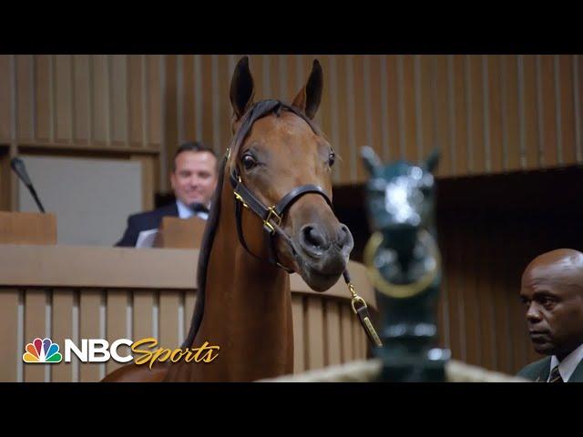 Champions born, bred and bid on in Kentucky | All In: Road to the Breeders' Cup Classic | NBC Sports