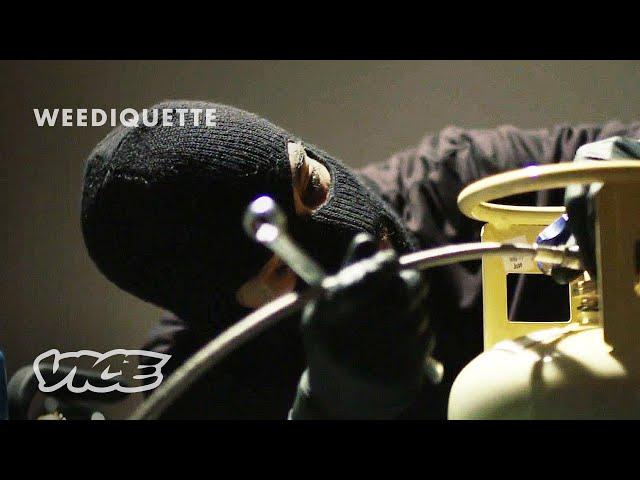 Making Weed Concentrates in an Underground Lab | WEEDIQUETTE