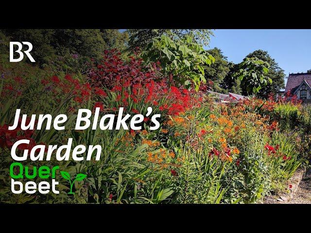 June Blake´s Garden