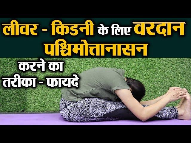 Yoga for healthy Liver & Kidney - Paschimottanasana | लीवर और किडनी के लिए वरदान  | Jeevan Kosh