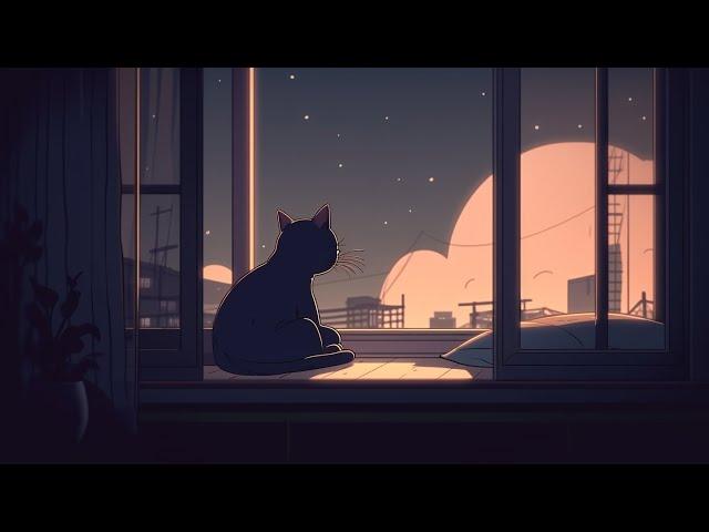 Rainy Season • Relax with my cat - Sleep, Relax, Study, Chill