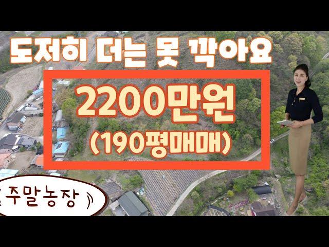 진짜 더는 못깍아요딱2200만원에 주말농장땅 사세요~ #청주부동산 #괴산땅 #괴산토지 #소액토지 #김설아소장