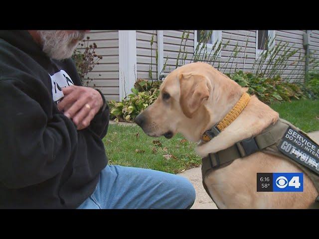 Service dog giving veterans hope when struggling with PTSD