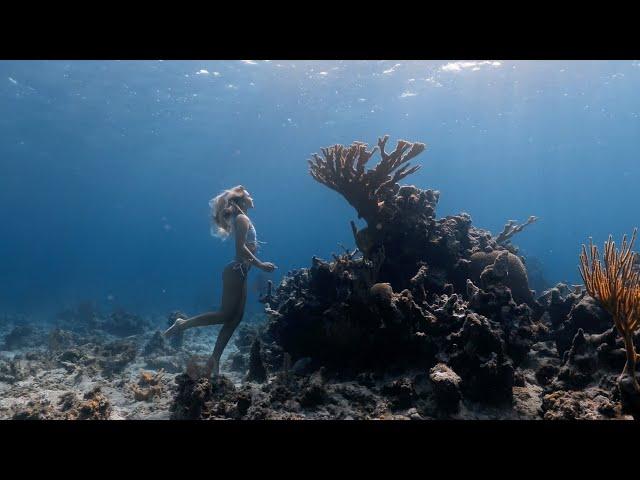 Jewels of Andros | Freediving the Blue Holes of Andros, Bahamas