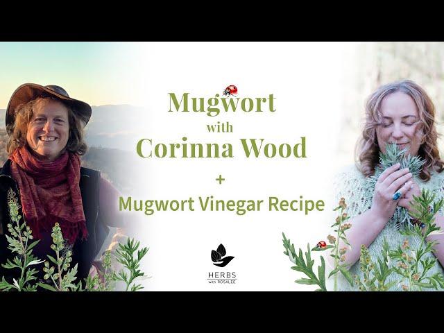 Mugwort with Corinna Wood + Mugwort Vinegar