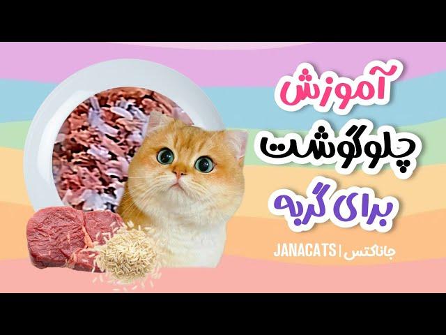 یه غذای خونگیه دلچسب برای پیشیا | آموزش پختن غذای خونگی برای گربه | @janacatss