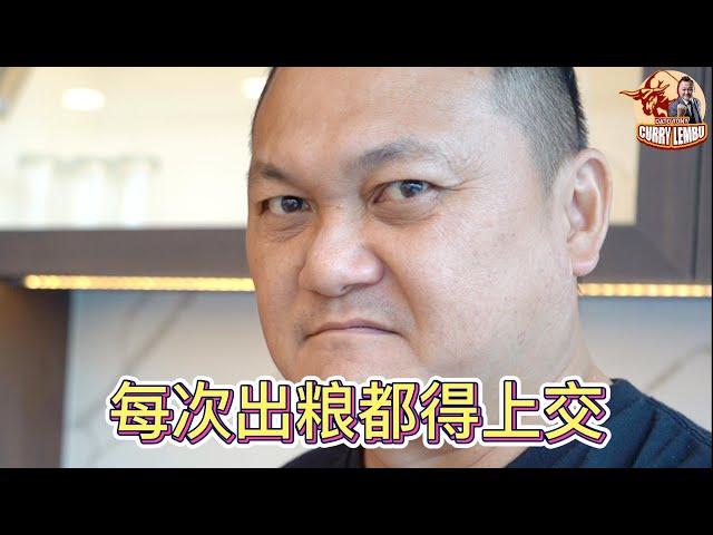 每次出粮都得上交，真的是CURRY LEMBU咯