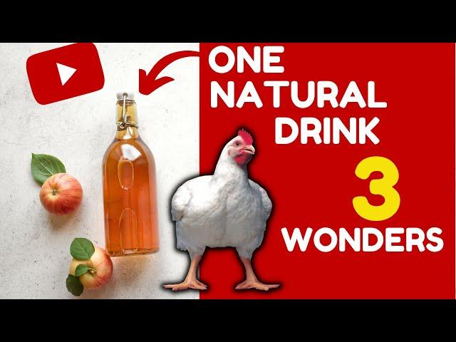 This Natural Drink Solves These Broiler Chicken Problems in 5 Minutes