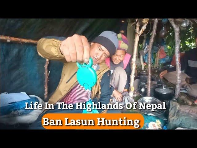 Income Source And Life In The Highlands Of Nepal || Ban Lasun Digging In Manang