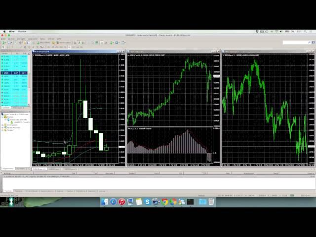 FOREX.com Testbericht - forexbroker.de