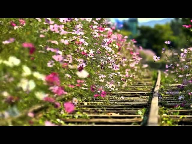 녹슬은 기찻길 - 조관우