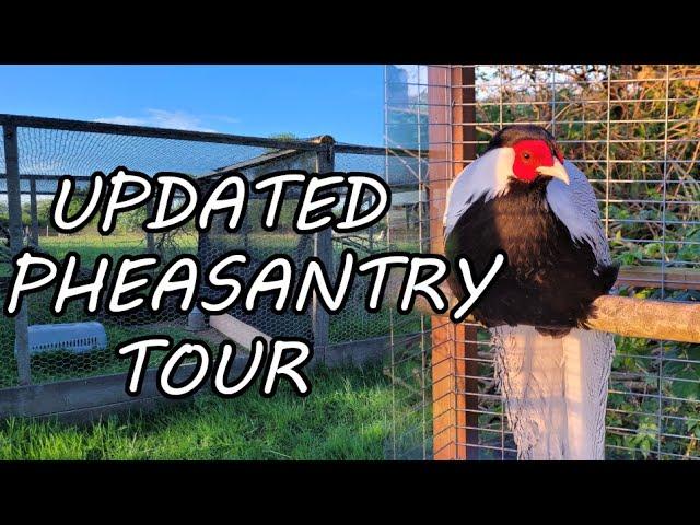 Ornamental Pheasantry Tour | Farming the Four Seasons - Spring (Day 13)