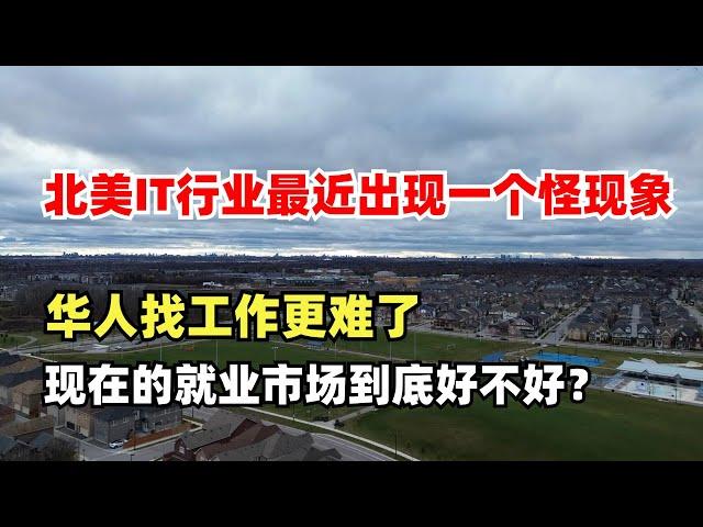 北美IT行业最近出现一个怪现象，华人找工作越来越难了，现在的就业市场到底好不好？