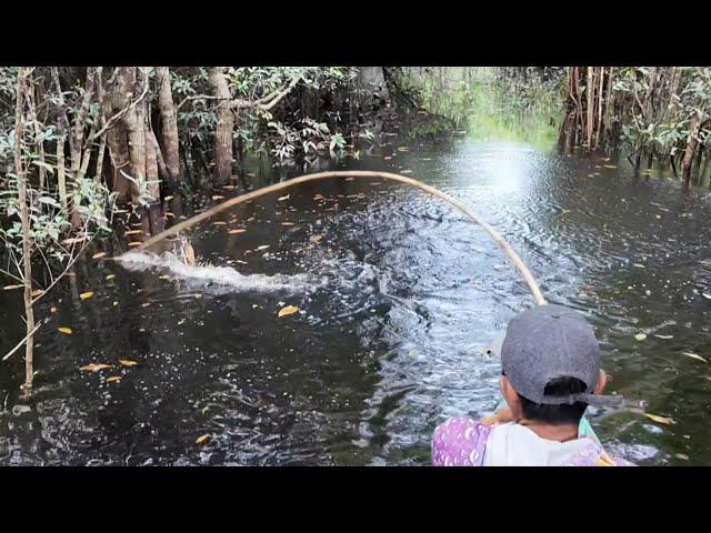 MANCING IKAN TOMAN DAN MENGANGKAT JEBAKAN UDANG GALAH