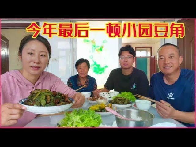 The beans in the small garden had their last meal. They were stewed with meat in two large plates.