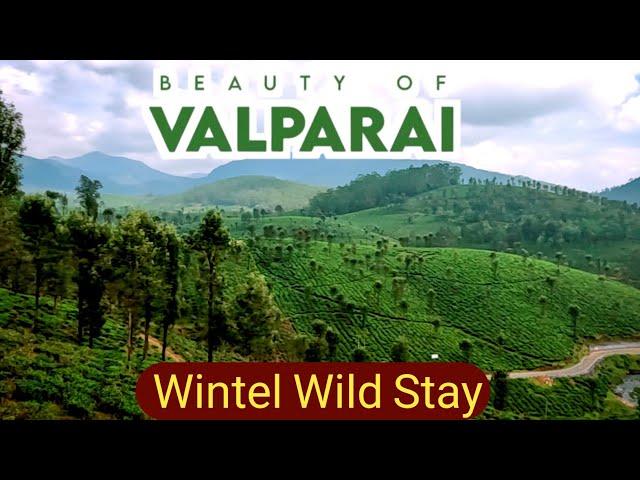 Chalakudy to Valaparai Road Trip | Wintel Wild Resort | Valparai Tourist Places