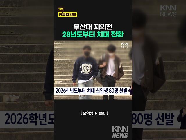 부산대 치의전, 28년도부터 치대 전환 / KNN