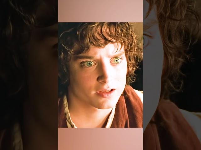 The Fellowship of the Ring#actionmovies
